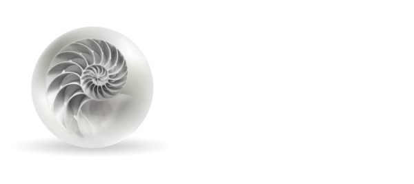 NZAO Conference Logo white txt
